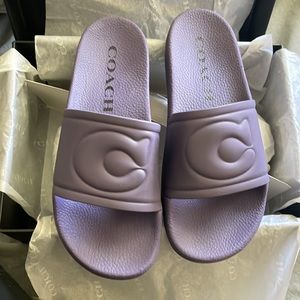 Coach Slide (Purple)